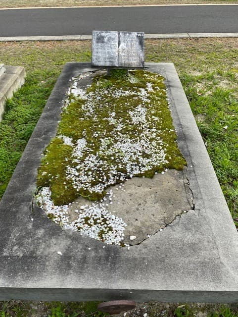 Sydney HICKS gravestone photograph 1