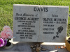 DAVIS-GA-LAWN-D319