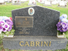 cabrini-m-lawn-c367