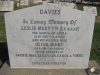 davies-l-m-lawn-a249